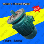 YEZ 112 - 4/3.0 KW/4.5KW 원뿔형 로터 3상 비동기 모터/건축 혼합 스테이션 모터 : 삼구트랜스공구