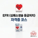 EFR(심폐소생술 응급처치 교육)자격증 코스(전세계 통용) EFR+AED+Care for children : 원스다이브