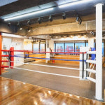 전농동 지점- 일일 체험 (성인/아동 동일) : impactboxing