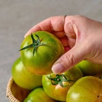 부산 대저토마토 2.5kg 대과/로열과 : 자연진리