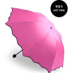 베이직 LW 플라워 양우산 반전 우산 양산 암막 우양산 : 베스트25포엘