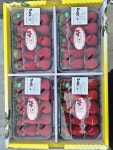 죽향딸기 산지발송 당일 수확후 발송 담양와우딸기 무농약인증 700g(350g X 2팩) : 무농약 인증 죽향딸기