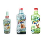 덴탈후레쉬 오리지널 강아지스프레이치약 강아지구강청결제 : 하유즈 HAYOUZ