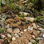 토리 개미모형 개미파는곳 과학수사체험 아기촉감놀이 : 토리스토리2026