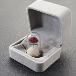 기념 강아지 털보 보관함 애견 반려동물 추억 보관함 이빨 용품 : 에스앤제이샵