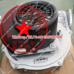 RG148/1200-3633-01304-109 115V 230V 독일산 팬 : 사이통상
