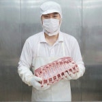 제주흙돼지 생삼겹살 뼈삼겹 미박삼겹살 뒷통고기 제주흑돼지오겹살 앞다리살 쫀득살 500g : 달빛도마