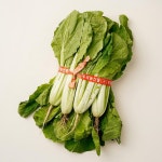 메가마트 얼갈이 단배추 단 : 메가마트 동래점