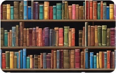 실내 실외용 ZERAOK 미끄럼 방지 도어 매트 입구용 도서관 책장 공간 러그 부드러운 흡수 20x31.5인치 세탁 가능 입구 앞 뒷문용 로우... 