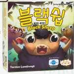 블랙쉽 보드게임 카드보드게임 : 위랜드