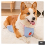 (BND-F43) BND F43 레인 배보호 앞치마 강아지옷 : 온엔에스