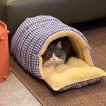 하우스 계절용 고양이 소형 세탁 침대 안감 : 픽노바마켓