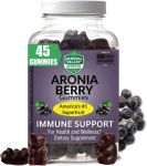 로니아 밸리 아로니아 베리 구미 45 채식 1팩 면역 지원 및 웰빙 맛있는 맛 Aronia Berry 45 Count (Pack of 1) : 라차