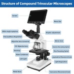 [연구 등급] 7인치 LCD 화면 5MP E피스 동물 사육 실험실 농장을 위한 2층 기계식 무대를 갖춘 Chaovveion Lab 컴파운드 삼안 현미경... 