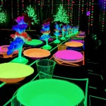 40PCS 글로우 파티 장식 4가지 색상 네온 종이 그릇 접시 형광 음식 생일 어두운 용품용 식기 7인치 서빙 40 Home Sweet : 용산방충망천재