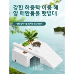 도마뱀집 파충류 거북이 수조 일광욕 사무실 전문 빌라 빗물 여거북이 사육장 제작 하우스 소재 중간 크기 - 수경법 테라스 : 코코넛 잡화점