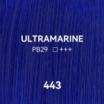 피닉스 울트라 마린 블루 오일 페인트 - 스튜디오 단일 대형 튜브 170ml / 5.75온스. 443 Ultramarine 170ml : 링크바이상점