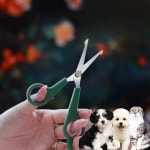 반려동물 애견 미용 가위 고양이 강아지 털 가위 틴닝 이발 : 에이식스스타