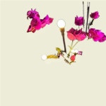 태양광조명 LED 야외 정원 반딧불이 조명 쏙템 : 도트닷마트