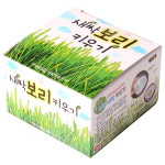 풀드림몰 씨앗 새싹 키우기 키트 보리키우기키트 보리새싹 채소씨앗 : 풀드림몰