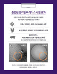 순삭솔루션 바이러스 세정제 60ml 분무형 바이러스 유아 방역 소독 양돈 축산 양계 : 팜스링크스토어