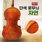 입문자용 첼로 악기 기본 입문 연습용 레슨 트닝 현악기 : 차이나투잔