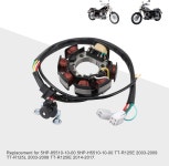 GOOFIT 모터사이클 고정자 코일 교체 5-85510-10-00 5-H5510-10-00 TT-R125E 2003-2009 TT-R125L 2003-2008 TT-R125lE : 델타라인