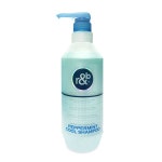 알앤비 피톤테라피 페퍼민트 쿨 멘솔 샴푸 1000ml : 헤어디자인후