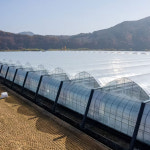 예산일등농자재 | 비닐하우스 PO 장수 비닐 필름 0.1mm x 11m x 10m : 일등농자재