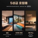 타입 드라이어 유선 트 업소용 호텔드라이기 모텔 헤어 : 다인네쓰리구대