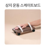 뇌혈관 어께강직 신경손상 환자 재활용 상지재활운동기구 스케이트 팔운동기 병원 경로당 양로원 : 위즈팟