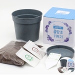 미니 꽃 화원 만들기 DIY재료 키트 : 팔도네이처