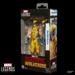 해즈브로 Hasbro 마블 울버린 데드풀 피규어 G2365 : 재팬큐레이션