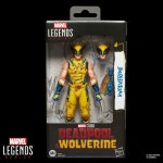 해즈브로 Hasbro 마블 울버린 데드풀 피규어 G2365 : 재팬큐레이션