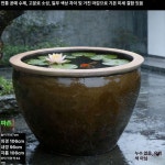 수조 연꽃 대형 생태 어항 물줄기 폭포 양식장 해수 순환 수환 장치 : 타우포상회