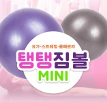 미니 요가 필라테스 스트레칭 홈 트레이닝 짐 볼 탱탱  25cm : 어니스트 온
