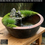 수조 연꽃 대형 생태 어항 물줄기 폭포 양식장 해수 순환 수환 장치 : 타우포상회