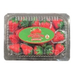 스퀴즈팝 스트로베리구미 18g X 32 (576g) : LM SHOP