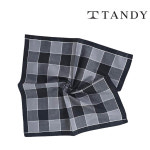 탠디 TANDY 윈도우 체크 손수건 스카프 : 와이제이YJ컴퍼니