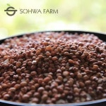[소화농장] 2025년 햇 현미율무 1kg : 디유니마켓