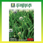 다농 두메부추 산부추 종자 100립 정구지 씨앗 : 씨앗드림365