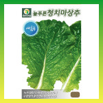 다농 여름 청치마 상추 씨앗 3g 청상추 종자 : 씨앗드림365