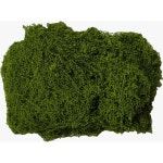 녹색 인조 이끼 화분 인테리어 장식 조경 테라리움 식물 꾸미기 플랜테리어 그린 100g 조화 : 말랑바다샵