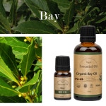 아로마 베이 에센셜 오일 퓨어스 유기농 50ml essential oil : 켈리주식회사