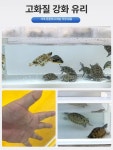 거북이수조 대형 거북이 어항 거북이어항 사육장 아크릴 화이트 60x40x30 : 영오국제무역