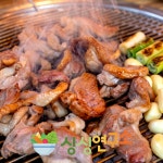 HACCP무항생제 유황오리 1kg 생 오리 고기 로스 슬라이스 : 싱싱 연구소