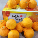(신선집중) 나영이네농장 하우스 한라봉 4.5kg(21~35과)-중소과(실중량)/알뜰 실속형 : 클레 스토어