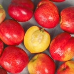 SB 산지직송 천도복숭아 제철 고당도 홍광 2kg : 진국샵