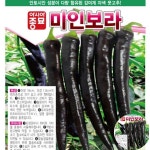 고추씨앗 미인보라 10립 종자 : 팔도플러스
