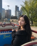 서울 시티투어버스 2층 버스투어 도심 고궁 남산 타이거버스 : 투어비스 스토어